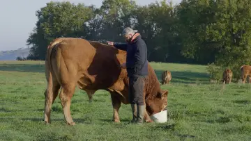 Задник до фільму "Rural" #773625