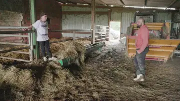 Задник до фільму "Rural" #773626