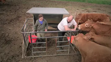 Задник до фільму "Rural" #773628