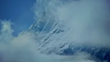 Задник до фильму"Murmuration" #544621