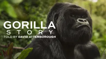 Задник до фильму"A Gorilla Story: Told by David Attenborough" #832783