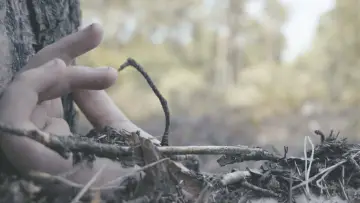 Задник до фильму"Safe Place" #973777