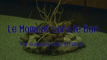 Задник до фільму "Le Moment sera le Bon" #1204405