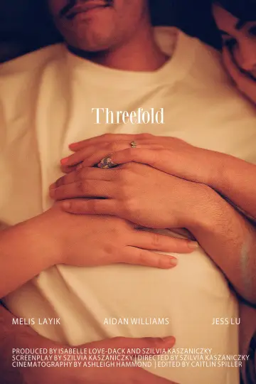 Threefold постер