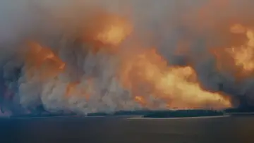Задник до фільму "The Fire in Our Hearts" #1846993