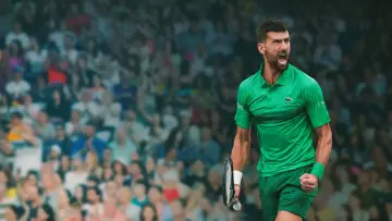 Задник до фільму "Novak Djokovic: The Wolf in Winter" #1151184