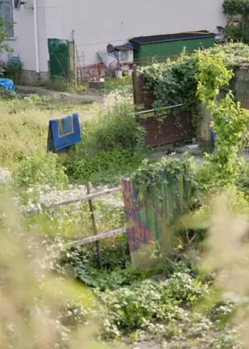 Постер до фильму"METZGERGRÜN" #969836