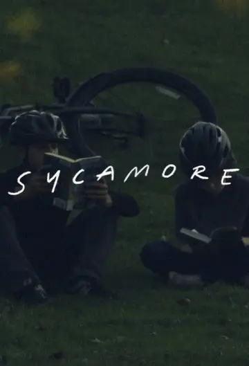 Sycamore