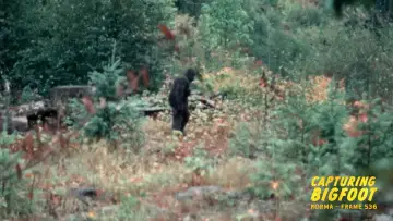 Задник до фільму "Capturing Bigfoot" #1911828