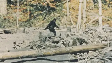 Задник до фільму "Capturing Bigfoot" #1911830