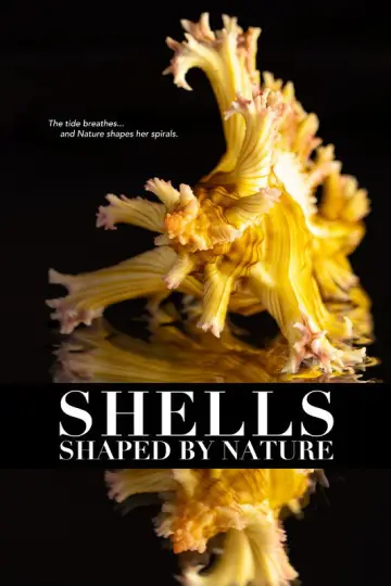 Постер до фильму"Shells: Shaped by Nature" #911852