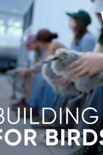 Постер до фильму"Wild Hope: Building for Birds" #803349