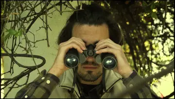 Задник до фильму"O Observador de Aves" #570860