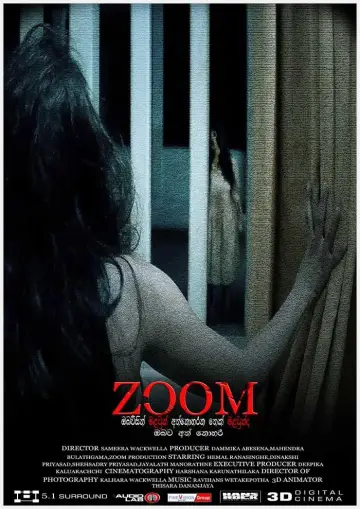 ZOOM постер