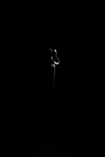 Постер до фільму "Scream: Short Film" #1822551