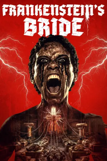 Постер до фільму "Frankenstein