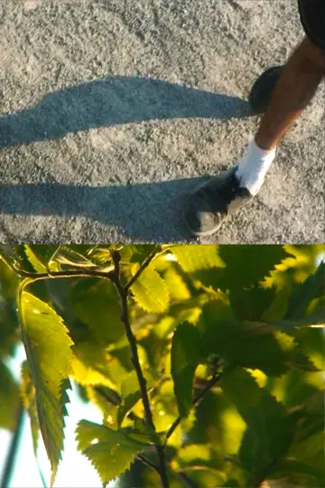 Sol Garden постер