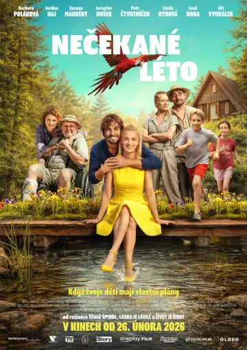 Nečekané léto постер