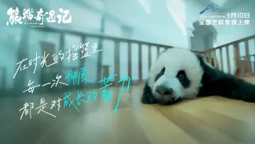 熊猫奇遇记 постер