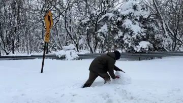 Задник до фильму"Snowday" #778160