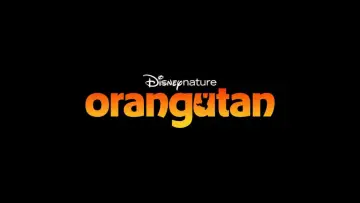 Задник до фільму "Orangutan" #798700