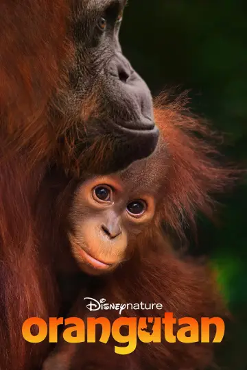 Постер до фільму "Orangutan" #798701