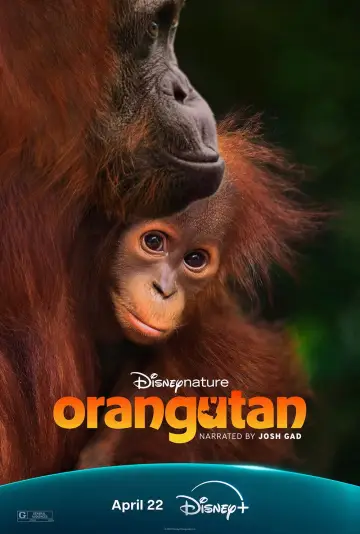 Постер до фільму "Orangutan" #798702
