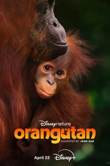 Постер до фільму "Orangutan" #798703