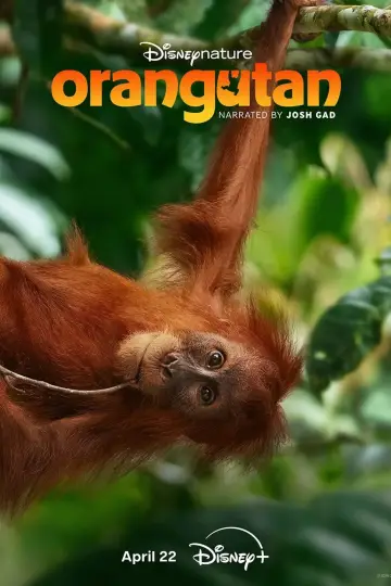 Постер до фільму "Orangutan" #798704