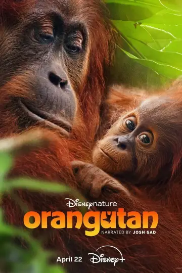 Постер до фільму "Orangutan" #798705