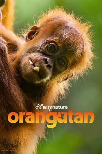 Постер до фільму "Orangutan" #817533