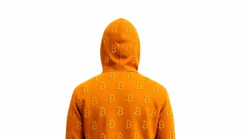 Задник до фільму "Finding Satoshi" #818644