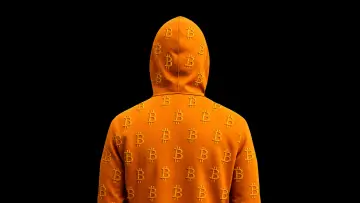 Задник до фільму "Finding Satoshi" #818645