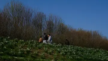 Задник до фільму "Le cratère des Hautes-Bruyères" #794808