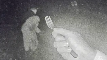 Задник до фильму"Pet Bunny" #776158