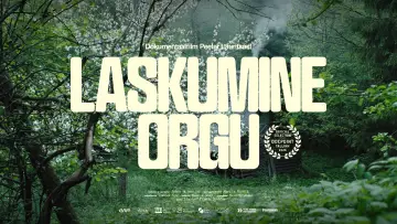 Laskumine orgu постер
