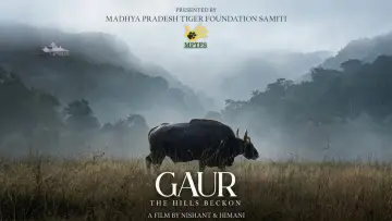 Задник до фильму"Gaur: The Hills Beckon" #781567