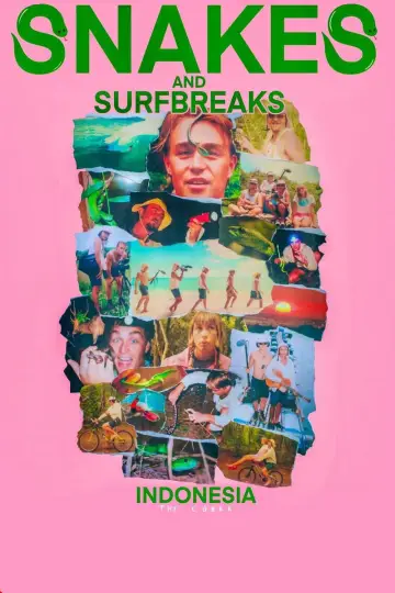 Snakes and Surf Breaks постер