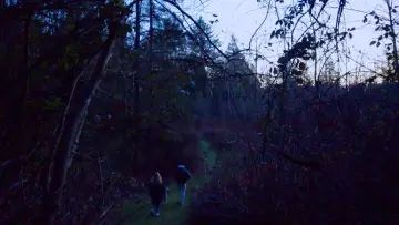 Задник до фільму "What