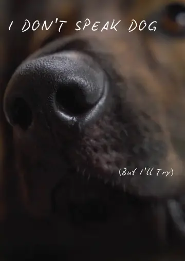 Постер до фильму"I Don