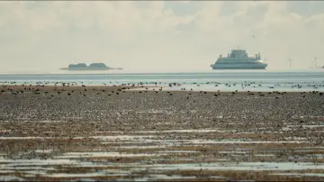 Задник до фильму"Föhr - 5 Meter über Null" #779113