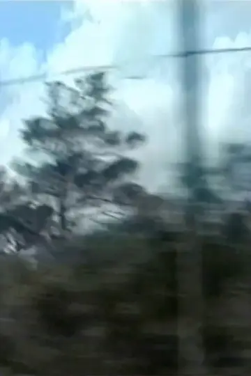 Постер до фильму"Through the Window" #781106