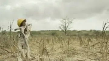 Задник до фильму"Cultiver la pluie" #1298065