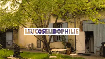 Задник до фильму"Leucosélidophilie" #794775