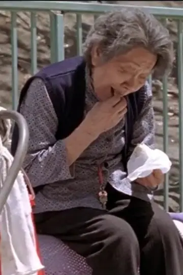 一天 постер