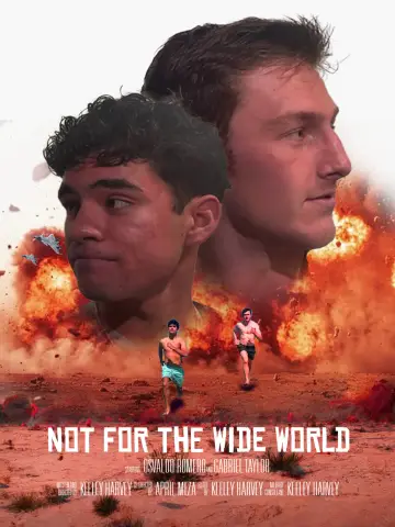 Постер до фильму"Not for the Wide World" #808148