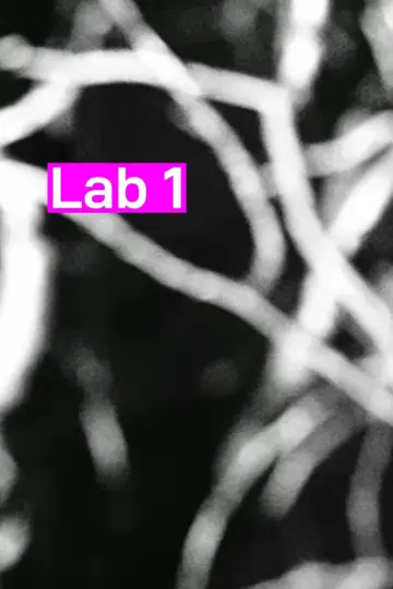 Lab 1 постер