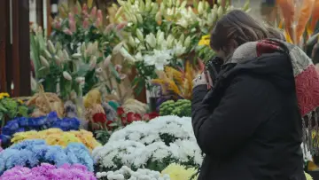 Задник до фільму "26.1.26" #1584893