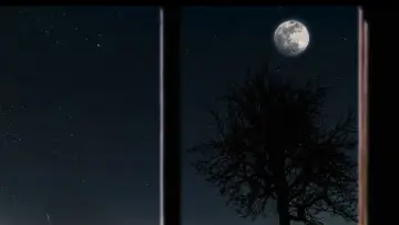 Задник до фильму"Moon Town" #964852