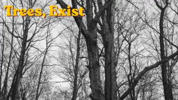 Задник до фильму"Trees, exist" #800075